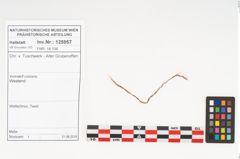 Foto von Textil (NHMW-PRAE-125957)